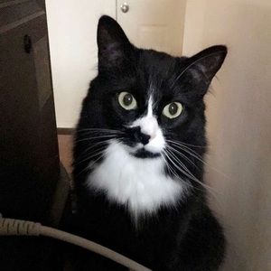 Meet your Posher, Rachel